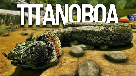 Once in a pack, their behavior. . Can you tame a titanoboa in ark